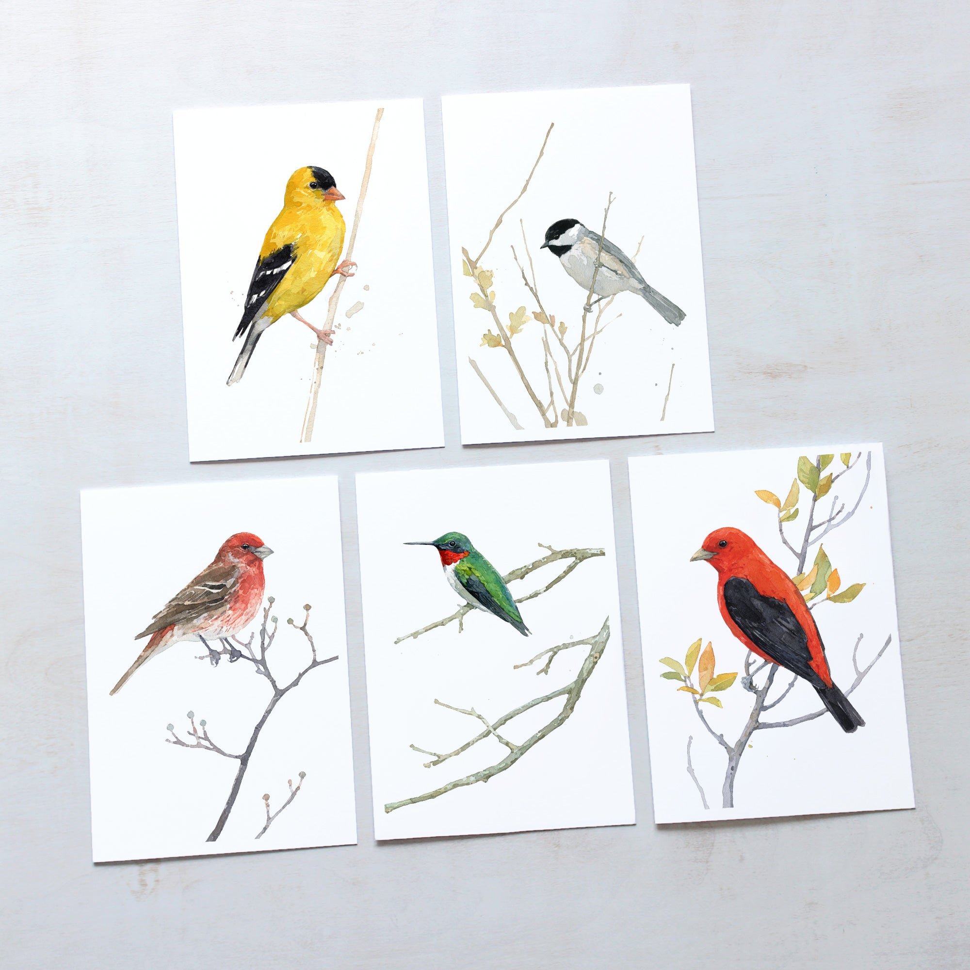Bird Watercolor Card Set 2, Mixed Bird Art
