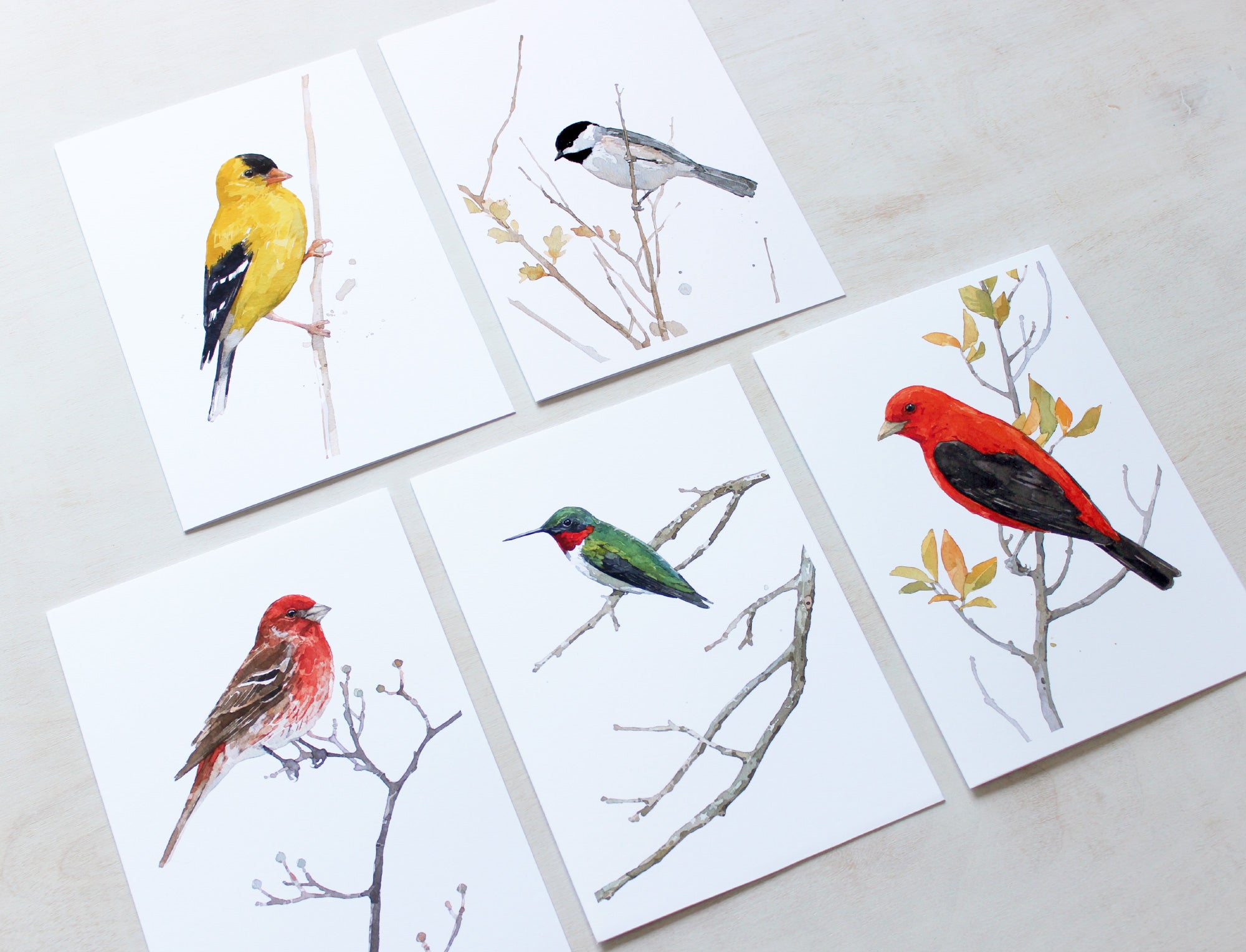 Bird Watercolor Card Set 2, Mixed Bird Art