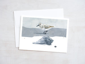 Shorebird Beach Card Set 2, Mixed Beach Bird Art Stationery Set