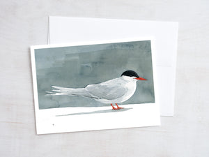 Shorebird Beach Card Set 2, Mixed Beach Bird Art Stationery Set