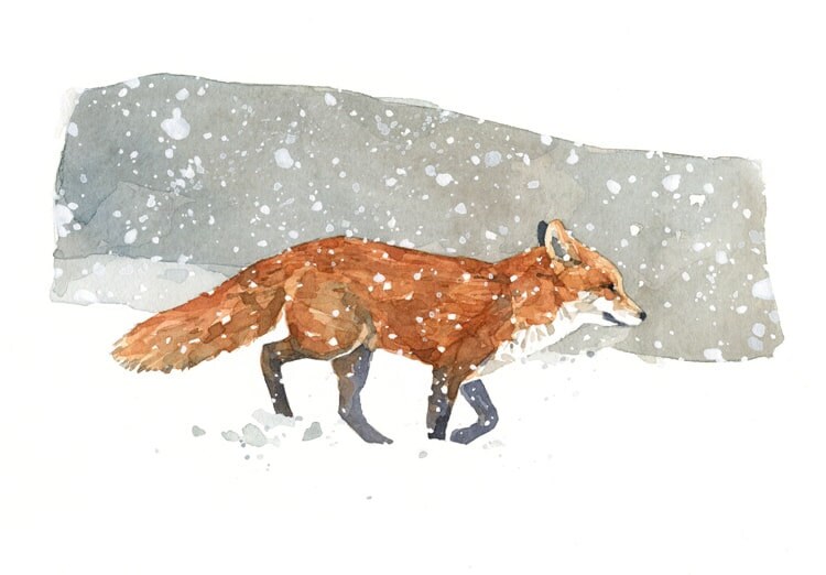 Red Fox Winter Holiday Card, Rustic Christmas Note Card