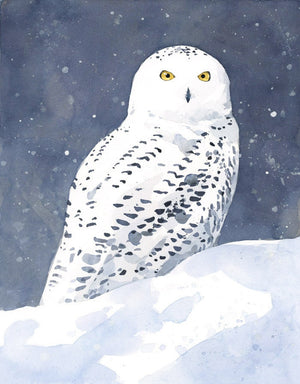 Snowy Owl Watercolor, Fine Art Print, Winter Bird Painting
