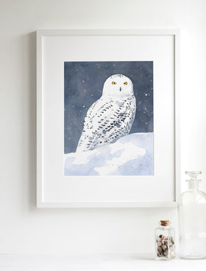 Snowy Owl Watercolor, Fine Art Print, Winter Bird Painting
