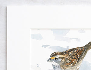 Sparrow Art Print, Bird Watercolor Painting, White Throated Sparrow Audubon Art