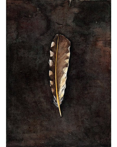 Large feathers Watercolor Print, Rustic Nature Wall Art, Natural Histo -  studiotuesday