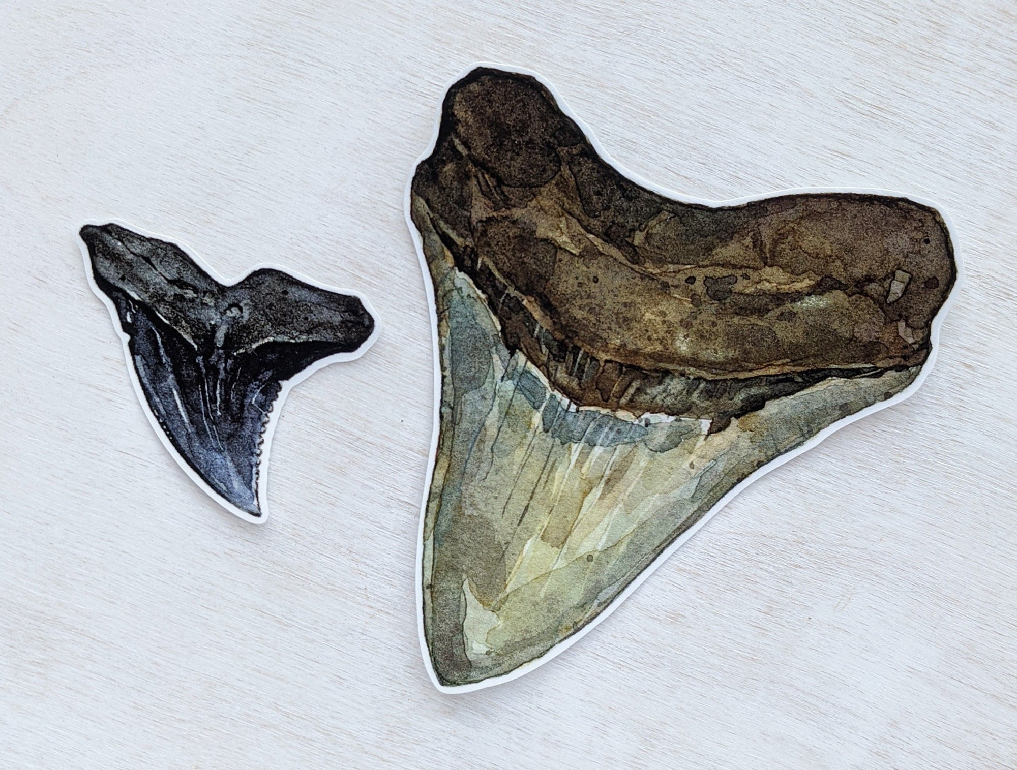 Shark Teeth Stickers, Megalodon tooth art sticker