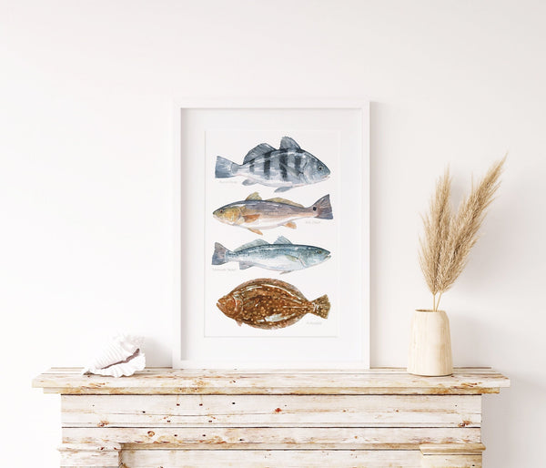 A2 Digital Mulloway art print ,fishart fishing art, jewfish, ocean fish sea seafish marine oceanic fisharts saving