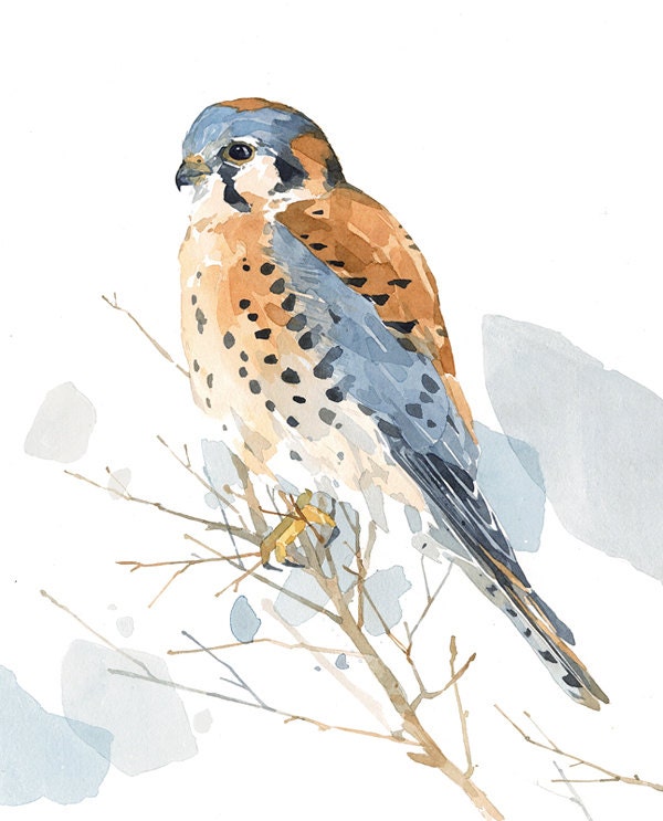 American Kestrel Original Art Watercolor Painting Gift Artwork Home Decor | NOT A outlets PRINT